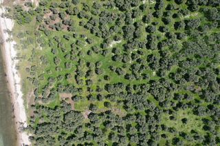 Αγροτεμάχια 1.446 τ.μ. για πώληση, Ν. Καβάλας, Θάσος-thumb-1