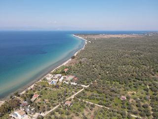 Αγροτεμάχια 1.446 τ.μ. για πώληση, Ν. Καβάλας, Θάσος-thumb-3
