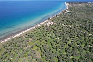 Αγροτεμάχια 1.446 τ.μ. για πώληση, Ν. Καβάλας, Θάσος-thumb-7