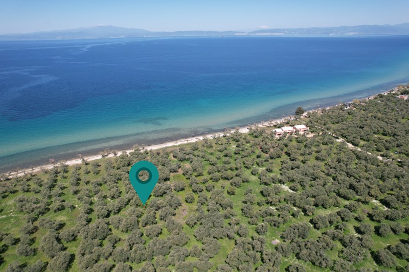 Αγροτεμάχια 1.446 τ.μ. για πώληση, Ν. Καβάλας, Θάσος