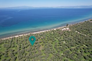Αγροτεμάχια 1.446 τ.μ. για πώληση
