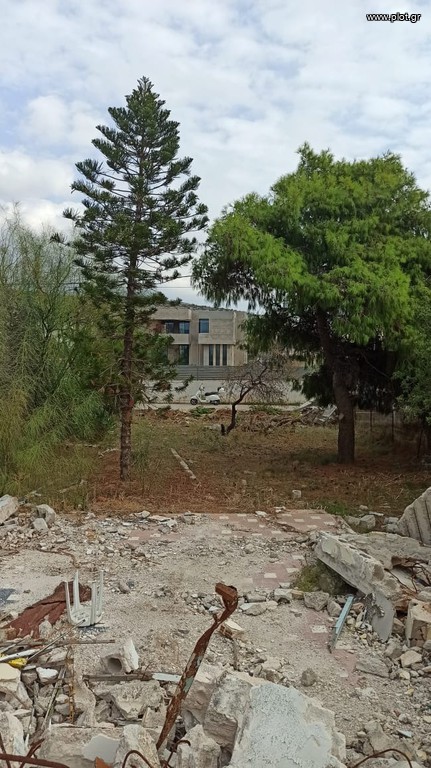 Οικόπεδο 528 τ.μ. προς πώληση, Ασύρματος Αλίανθου