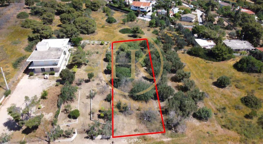 Οικόπεδο 1.004 τ.μ. προς πώληση, Κέντρο Κορωπίου