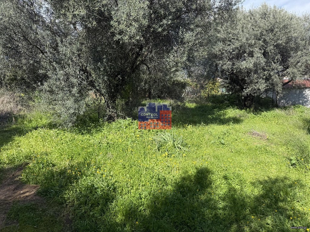 Οικόπεδο 1.330 τ.μ. προς πώληση, Άγιος Κωνσταντίνος Αιγιάλειας