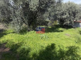 Οικόπεδο 1.330 τ.μ. για πώληση