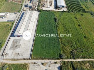 Αγροτεμάχια 10.752 τ.μ. για πώληση