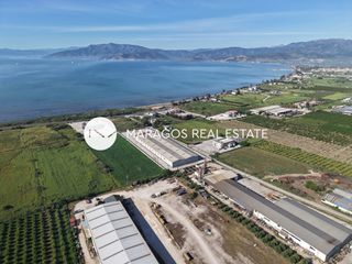 Αγροτεμάχια 10.752 τ.μ. πρός πώληση, Αργολίδα, Νέα Κίος-thumb-13