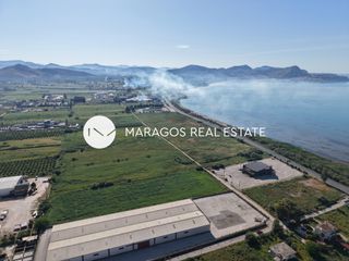 Αγροτεμάχια 10.752 τ.μ. πρός πώληση, Αργολίδα, Νέα Κίος-thumb-9