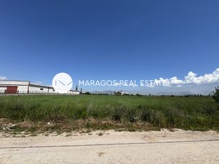 Αγροτεμάχια 10.752 τ.μ. πρός πώληση, Αργολίδα, Νέα Κίος-thumb-21