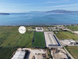 Αγροτεμάχια 10.752 τ.μ. πρός πώληση, Αργολίδα, Νέα Κίος-thumb-3
