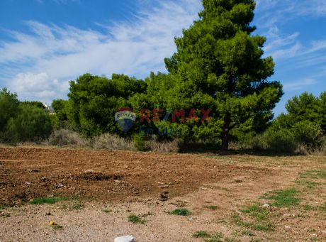 Οικόπεδο 529 τ.μ. για πώληση