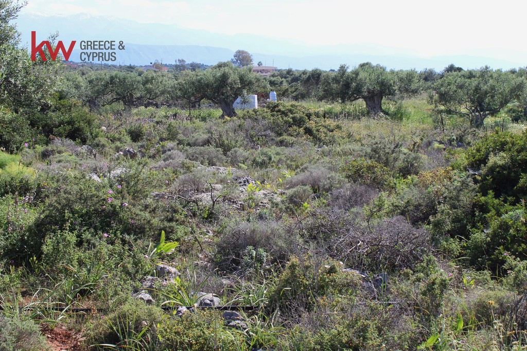 Οικόπεδο 663,80 τ.μ. προς πώληση, Χωρδάκι Ακρωτηρίου