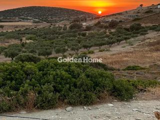 Αγροτεμάχια 13.900 τ.μ. προς πώληση