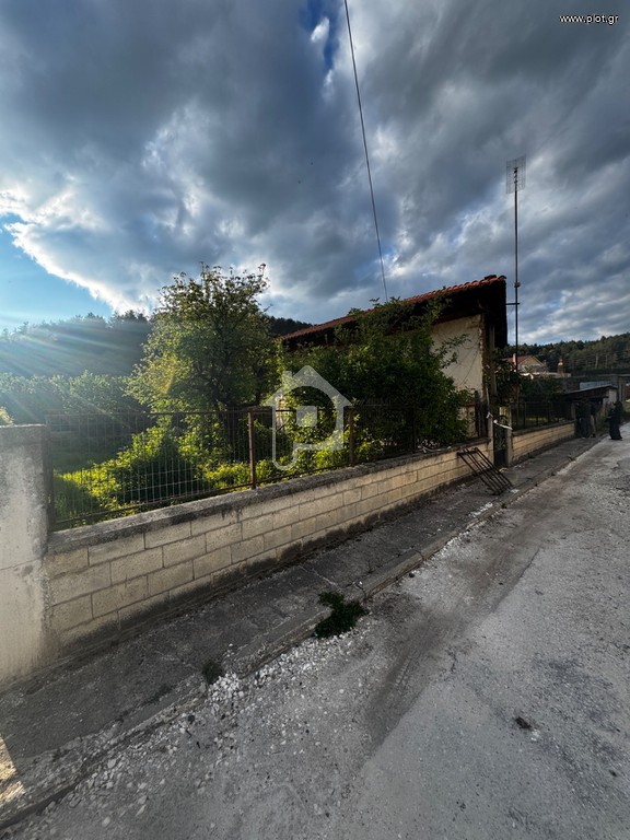 Μονοκατοικία 120 τ.μ. πρός πώληση, Ν. Δράμας, Κάτω Νευροκόπι