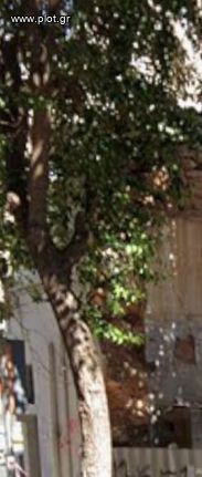 Αγροτεμάχια 143 τ.μ. προς πώληση
