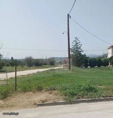 Αγροτεμάχια 450 τ.μ. προς πώληση, Έξω Παναγίτσα