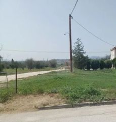 Αγροτεμάχια 450 τ.μ. για πώληση