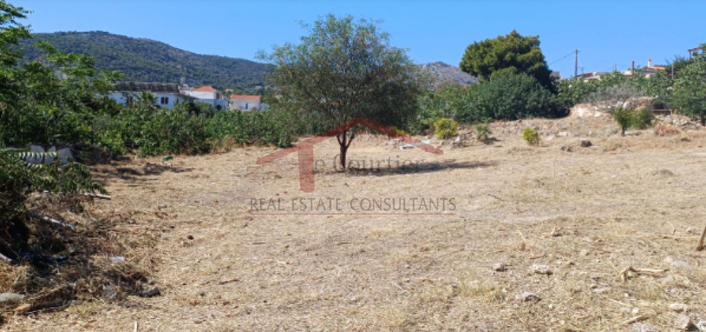 Οικόπεδο 4.500 τ.μ. προς πώληση, Αιγινήτισσα