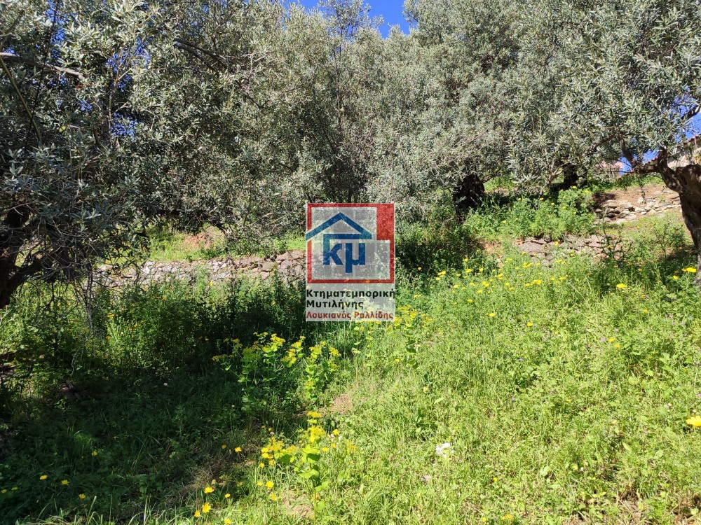 Οικόπεδο 6.304 τ.μ. πρός πώληση, Ν. Λέσβου, Λέσβος - Μυτιλήνη
