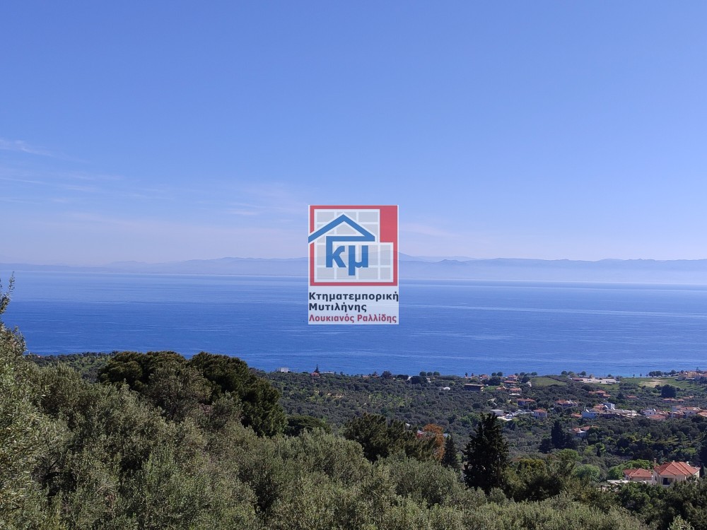 Οικόπεδο 6.304 τ.μ. πρός πώληση, Ν. Λέσβου, Λέσβος - Μυτιλήνη