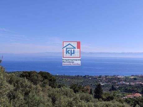 Οικόπεδο 6.304 τ.μ. πρός πώληση
