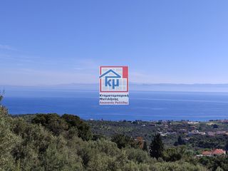 Οικόπεδο 6.304 τ.μ. για πώληση