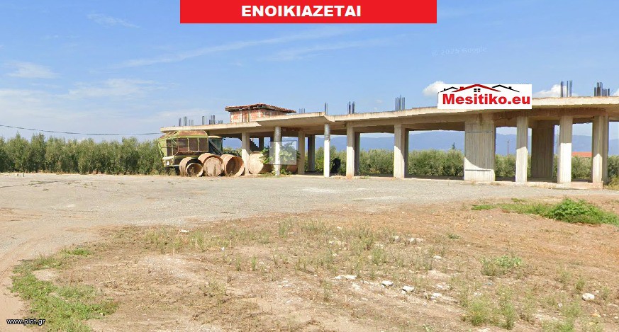 Επιχειρηματικό κτίριο 760 τ.μ. πρός ενοικίαση, Φθιώτιδας, Δαφνούσες
