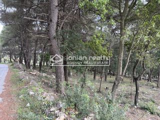 Land plot 8.091 sqm for sale, Zante, Artemisio-thumb-8