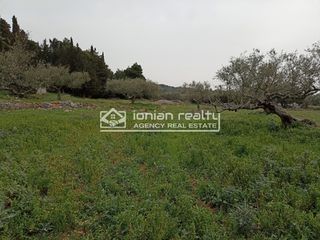 Land plot 8.091 sqm for sale, Zante, Artemisio-thumb-13
