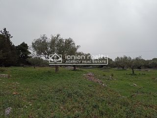 Land plot 8.091 sqm for sale, Zante, Artemisio-thumb-14