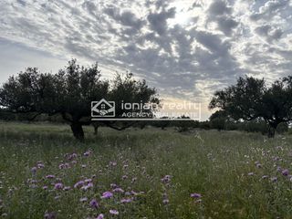 Land plot 8.091 sqm for sale, Zante, Artemisio-thumb-4