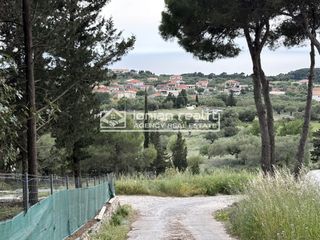 Land plot 8.091 sqm for sale, Zante, Artemisio-thumb-9
