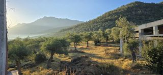 Μονοκατοικία 70 τ.μ. προς πώληση, Ραχώνι-thumb-8