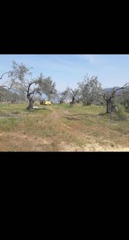 Parcel 15.000 sqm for sale