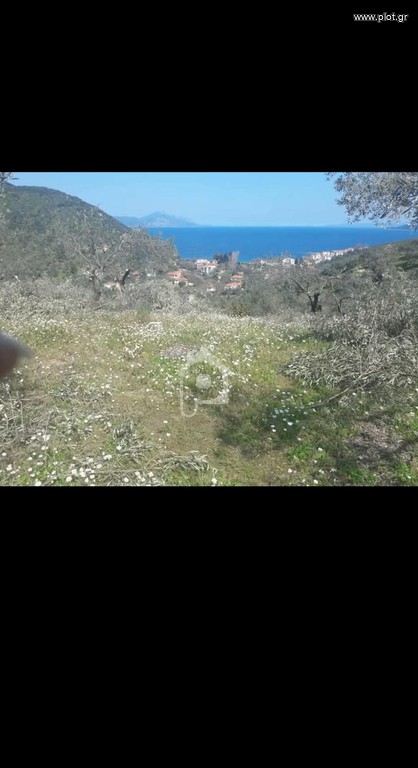 Αγροτεμάχια 15.000 τ.μ. προς πώληση, Αγία Μαρίνα Πτελεού