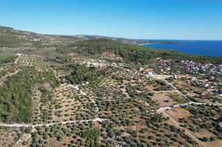 Αγροτεμάχια 19.000 τ.μ. για πώληση