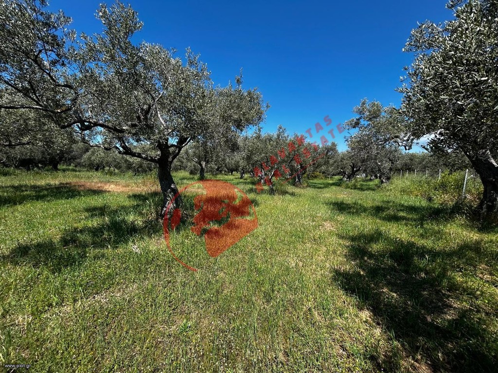 Αγροτεμάχια 2.331 τ.μ. πρός πώληση, Εβρος, Αλεξανδρούπολη