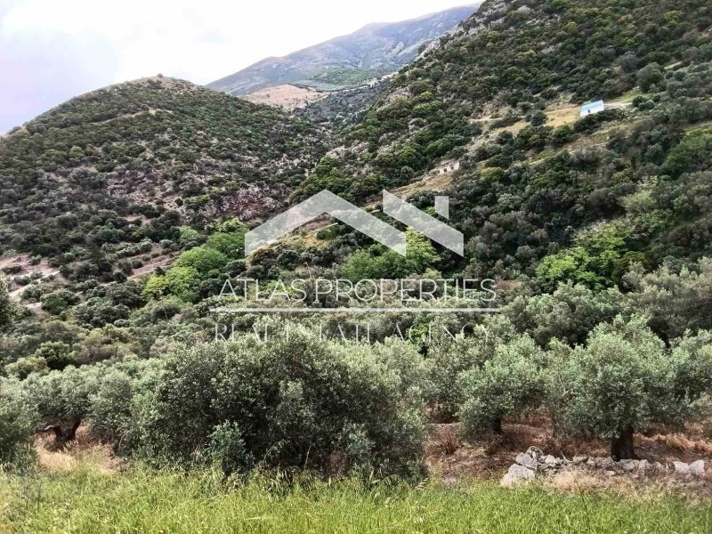 Οικόπεδο 1.290 τ.μ. προς πώληση, Κάμπος Ινναχωρίου