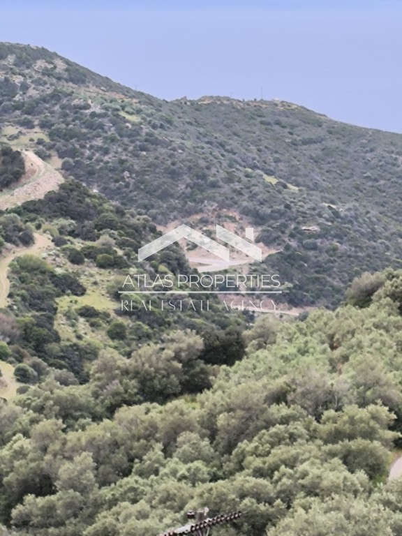 Οικόπεδο 1.290 τ.μ. προς πώληση, Κάμπος Ινναχωρίου