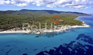 Parcel 16.000 sqm for sale