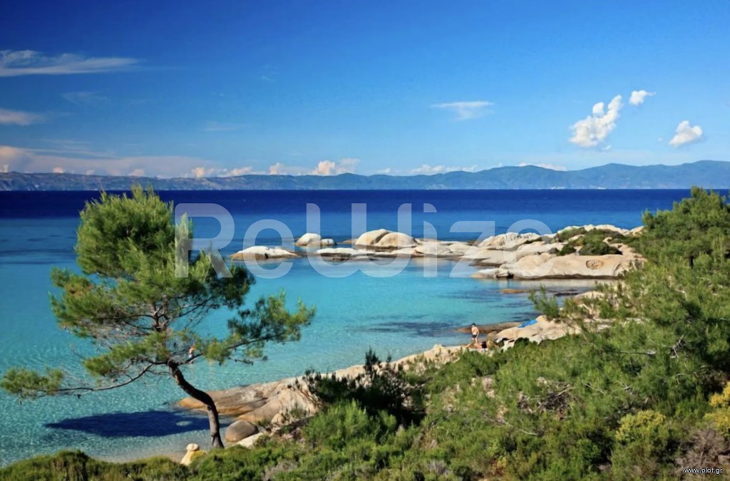 Αγροτεμάχια 16.000 τ.μ. προς πώληση, Σάρτη