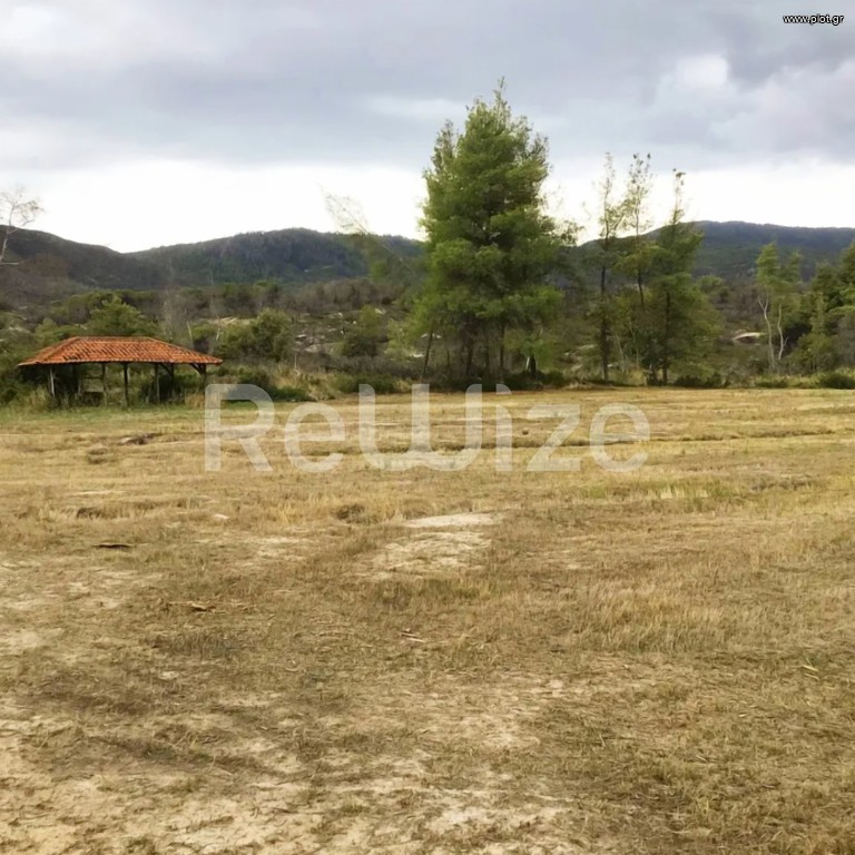 Αγροτεμάχια 16.000 τ.μ. προς πώληση, Σάρτη