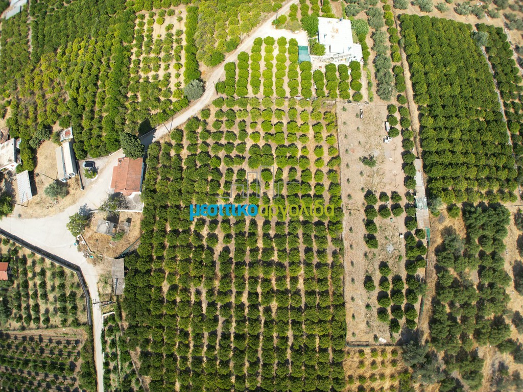 Αγροτεμάχια 7.438,15 τ.μ. προς πώληση, Αρχαία Επίδαυρος