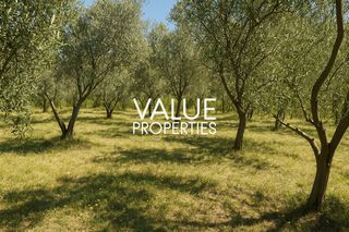 Οικόπεδο 1.515 τ.μ. πρός πώληση, Εύβοια, Αυλίδα-thumb-7