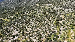 Οικόπεδο 1.316 τ.μ. για πώληση, Αργολίδα, Κρανίδι-thumb-11