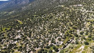 Οικόπεδο 1.316 τ.μ. για πώληση, Αργολίδα, Κρανίδι-thumb-12