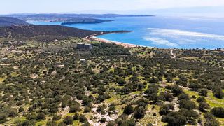 Οικόπεδο 1.316 τ.μ. για πώληση, Αργολίδα, Κρανίδι-thumb-18