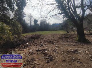 Αγροτεμάχια 1.500 τ.μ. για πώληση, Ν. Καβάλας, Θάσος-thumb-3