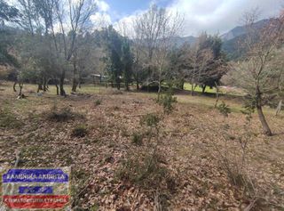Αγροτεμάχια 1.500 τ.μ. για πώληση, Ν. Καβάλας, Θάσος-thumb-11