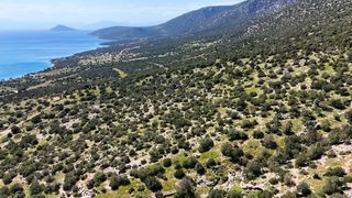 Οικόπεδο 1.134 τ.μ. για πώληση, Αργολίδα, Κρανίδι-thumb-3